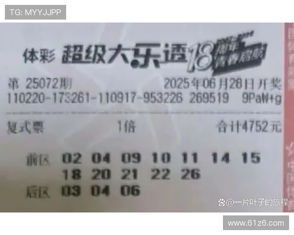 大乐透开奖收藏码的实用价值与珍藏意义探析